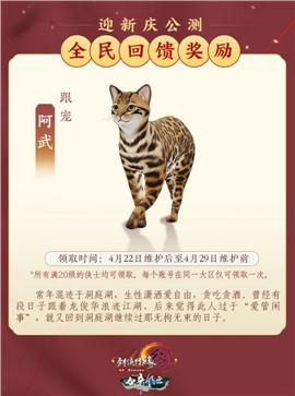 2018南阳天龙八部私服